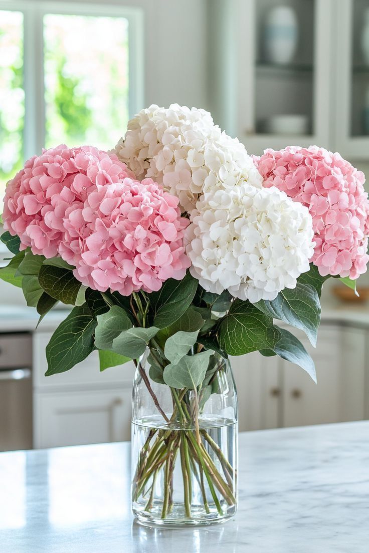 Elegant hydrangea